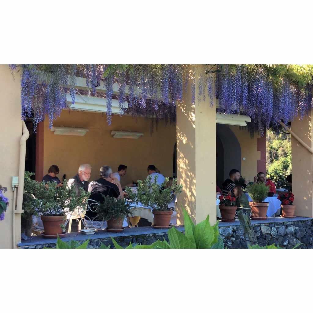 Heatscope Heaters Spot 1600W electric radiant heaters mounted on a patio ceiling above diners under wisteria.
